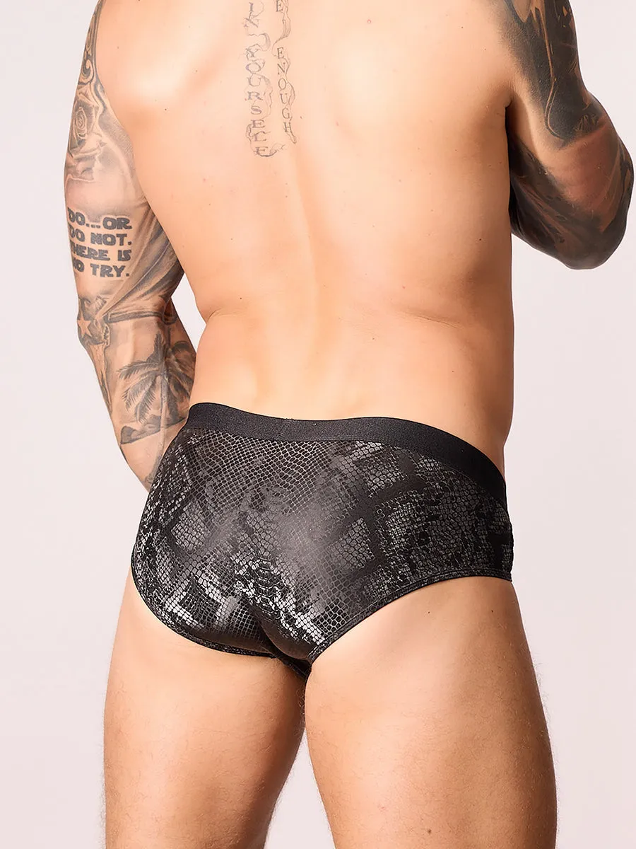Black Tie Window Brief