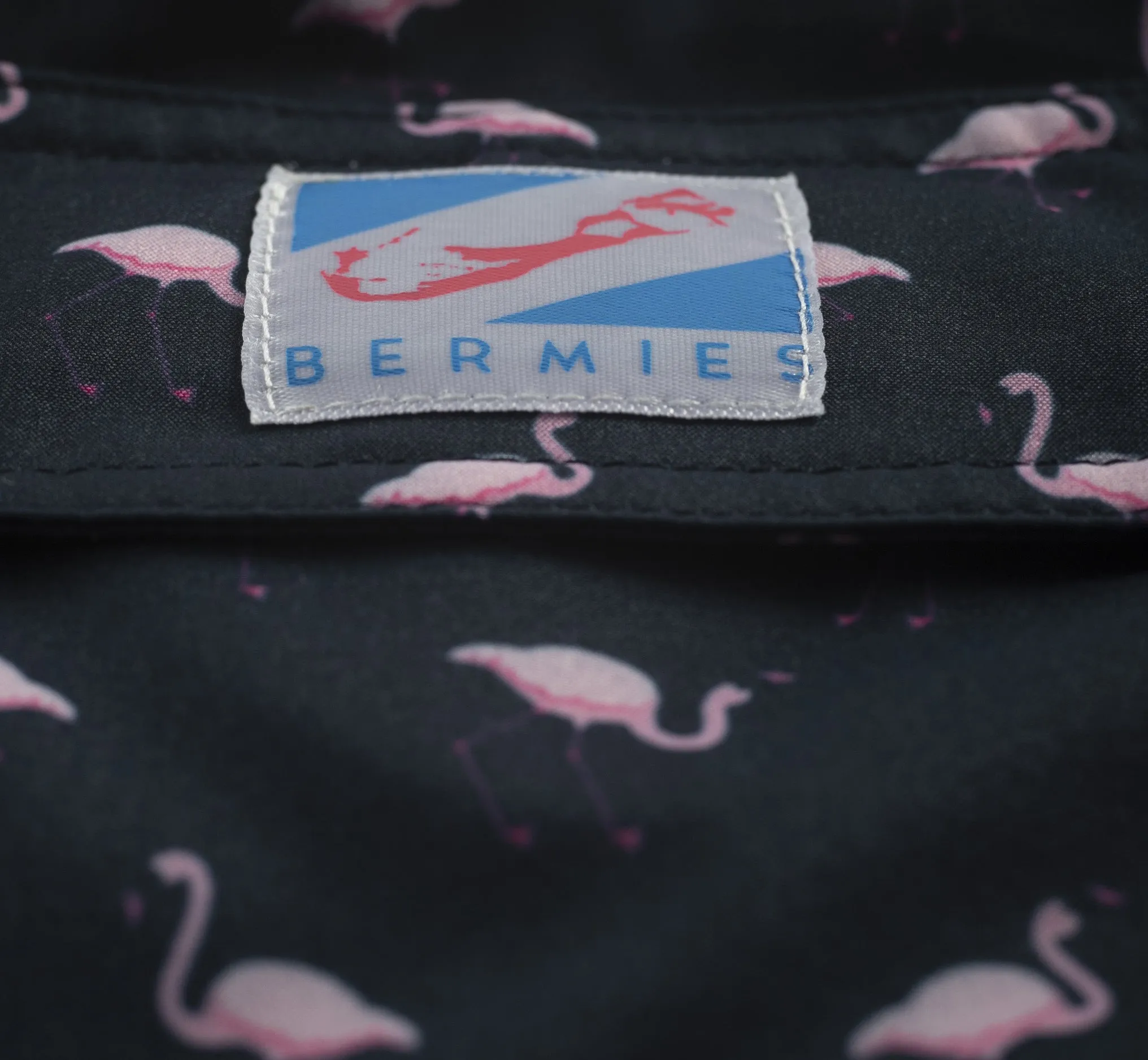 Flamingo 2.0 - 3.5" Swim Trunks